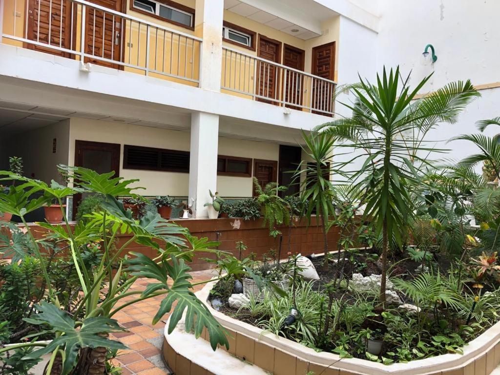 Green Beach Las Canteras Las Palmas / Gran Canaria Exterior foto